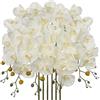 Oairse 6 steli di orchidee artificiali alti 81 cm, fiori Phalaenopsis in seta bianca con 5 fiori di orchidee finte per casa, ufficio, matrimonio, vaso da pavimento, composizioni floreali fai da te