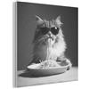 MuchoWow© Composizione Feltro XXL Pannello Camera Design Grande Cornice | 50x50 cm - Salotto Accento Parete Gatto A Pelo Lungo - Occhiali Da Sole - Spaghetti - Umorismo - Nero Bianco