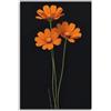 CWLLOG Stampa artistica da parete moderna su tela, poster con fiori arancioni su sfondo nero, decorazione minimalista su tela, 30 x 45 cm, senza cornice