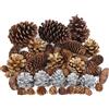 TaoQ C 45 Pezzi Pigne di Natale Argentate Dorate Mini Grandi Naturali Artigianato di Pigne Decorative per Albero di Natale Thanksgiving Festa d'inverno Ghirlande Artigianato DIY Decorazioni