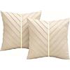 Brylleii 2 Pezzi Federe Cuscini in Velluto Copricuscino Divano Beige Oro Fodere Cuscini Moderna Quadrati Cuscino Casa Decorativa Cerniera Invisibile per Camera da Letto Soggiorno Giardino 45x45