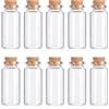 Acooruiteng 10 piccole bottiglie di vetro con tappo in sughero, mini bottiglie di vetro con tappo di sughero, 10 ml, provetta con tappo di sughero, piccole bottiglie di vetro da riempire, piccole bottiglie di