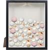 KeaJuidy Scatola di presentazione Shadow Box Cornice portafoto Cornice per vetrina con fessura superiore per banconote, conchiglie, francobolli regalo Souvenir 21,7 x 26,7 cm