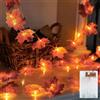 EKKONG Lucine a Ghirlanda D'Autunno,Foglie di Acero Luci,Luci Della Stringa a Batteria,Luci Fata Interno Esterno per Autunno, Halloween, Natale