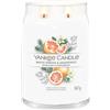 Yankee Candle White Spruce & Grapefruit Grande Spruce & Grapefruit Candela Profumata Giara Signature