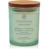 Chesapeake Bay Candle Balance & Harmony (Waterlily Pear) Piccola & Harmony (Waterlily Pear) Candela Profumata Vasetto