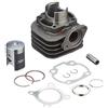NARAKU Kit Cilindro Naraku 50Cc Per Kymco Orizzontale Ac (Sf10) | Ricambio ferro fuso grigio, pistone, guarnizioni e spinotto 12 millimetri; compatibile con KYMCO Agility 50 RS KE10BA 2T AC
