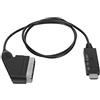 Yunseity Convertitore da HDMI a Scart, Adattatore Audio da HDMI a Scart Supporta i Formati PAL B N M NTSC M J Nc per TV, Videoregistratori VHS, Registratori DVD