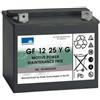 GNB Sonnenschein GF-Y-Batteria-Piombo ermetico gel-12V-28Ah-Batteria