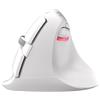 DeLUX Mouse Wireless 2.4GHZ Opt 6 Pulsanti 1600 Dpi con LED Rosso M618-MINI-GX-WHITE