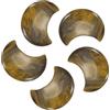 QUARKZMAN 5 Pc Pietre DellaIn Cristallo, 1.2 Pollici Lungh Pietra Naturale Occhio Di Felino Pietre Intagliate Per Meditazione Bilancia Pendente Decor
