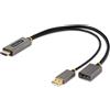 StarTech.com 128-HDMI-DISPLAYPORT cavo e adattatore video 0,3 m HDMI tipo A (Standard) Nero, Grigio