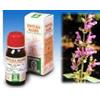 SPECCHIASOL Srl salvia 25 50ml tm