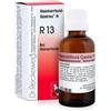 DR.RECKEWEG & CO. GmbH reckeweg r13 gocce 22 ml