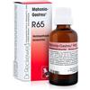 DR.RECKEWEG & CO. GmbH r65 gocce 22ml