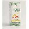 PHARMEXTRACTA SpA zingiber delta soluzione idroalcolica 50 ml