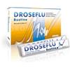 PRINCEPS Srl droseflu 10 bustine 15 ml
