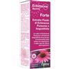 OPTIMA NATURALS Srl echinacea benefit estratto fluido forte 50 ml