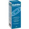 FARMA-DERMA Srl cicatridina dermo detergente 250 ml