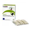 CAMON SpA hybrid 30 compresse