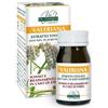 VIS GIORGINI SER-VIS valeriana estratto titolato 60 pastiglie integratore alimentare per il sonno