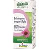 BOIRON Srl echinacea boiron estratto idroalcolico 60 ml