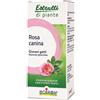 BOIRON Srl rosa canina boiron macerato glicerico 60 ml