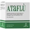 IGEA PHARMA Srl ataflu' 14 bustine