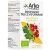 ARKOFARM Srl arko capsule uva ursina bio 45 capsule 1400 mg