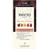 PHYTO (LABORATOIRE NATIVE IT.) color kit phytocolor 6,66 castano intenso rosso ciliegia 1 latte rivelatore 50 ml + 1 crema colorante 50 ml + 1 maschera prolunga colore 10 ml + 1 paio di guanti