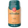 ERBA VITA GROUP SpA tribulus 60 capsule