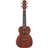 Ibanez UKC100-OPN Ukulele Concert Open Pore Natural - Ukulele Concert a 4 posti, con custodia
