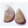 harshj_0 Gemma Naturale Jasper Cabochon Sciolta 32.30 Ct 2 Pezzi