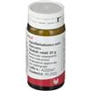 WALA ITALIA APIS BELLADONNA ME 20G GL WALA - WALA ITALIA - 800599197