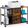 Relaxdays Cassettiera da Ufficio per Stampante, Mobile con 2 Cassetti, Schedario Portadocumenti, 67x100x40cm, Industrial