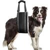 QIUPFGUT Aiuto per il trasporto tutto il corpo, aiuto per scale, Imbracatura per cani di sollevamento,Imbracatura per Cani Zampe Posteriori,Cintura ausiliario per gli animali di compagnia