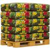 Generico CompoSana Terriccio Universale di qualità, Per piante d'appartamento, balcone e giardino, 6 Sacchi x 80 L (Totale 480 LT)