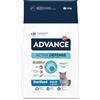 Affinity Advance Advance Cat Sterilized Adult Tacchino Crocchette per gatto - 10 kg
