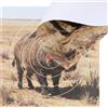 PYMUST Confezione da 10 Bersagli Animali per Tiro con Arco - 40x40cm Materiali Altamente Visibili per Caccia e Allenamento al Tiro