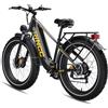 RINCC RN70 Bici Elettrica Doppio motore,960Wh 20Ah Batteria,Gamma PAS Autonomia di 100-120km,Pneumatici All Terrain Fat 26"*4,0",Freni a disco idraulici,7 Velocità,Telaio impermeabile IPX4