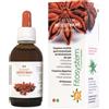 FITOSYSTEM DI C.G. System Intestinum 50ml