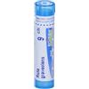 BOIRON Srl Ruta grav boi 9ch 80 gr 4 g - BOIRON - 046363065