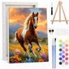 MOTGOM Dipingere con i Numeri Adulti con Telaio, Cavallo al Galoppo fai da te Quadri da Dipingere con i Numeri Adulti, Pittura Adulti Decora la Casa Regalo 20x30cm