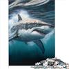 AITEXI Puzzle Il Grande Squalo Bianco Adulti Puzzle Bambini Puzzle da 1000 Pezzi Adulti Puzzle in Legno Bambini Puzzle Sostenibile Adulti | Giochi donne e uomini （50x75 cm）