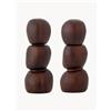 Bloomingville Set saliera e pepiera in legno di acacia Salvi 2 pz - Marrone