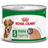 Royal Canin Mini Ageing in Patè 195g