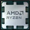 AMD CPU AMD Ryzen 9 9900X3D Tray