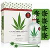 Dutch Windmill Spirits - Cannabis Sativa Gin - SET REGALO 70cl