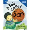 Rigby Star Guided Reading Blue Level: A Ball Called Sam Teaching Ver (Tascabile)