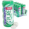Mentos Gum Pocket Bottle, Pure Fresh Spearmint (Pack of 10) by Mentos